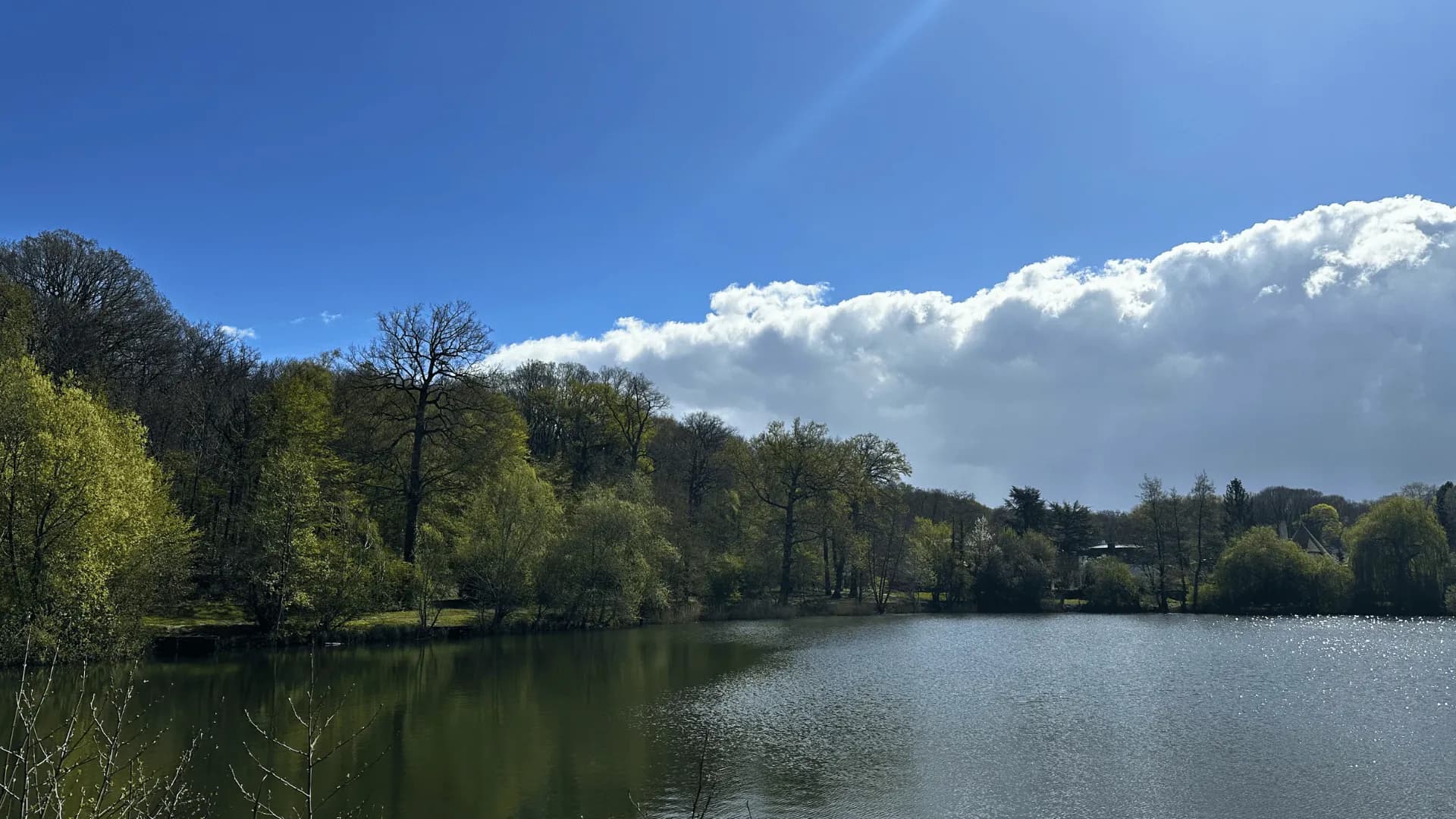 Forêt de Meudon, randonnée entre étangs et forêt