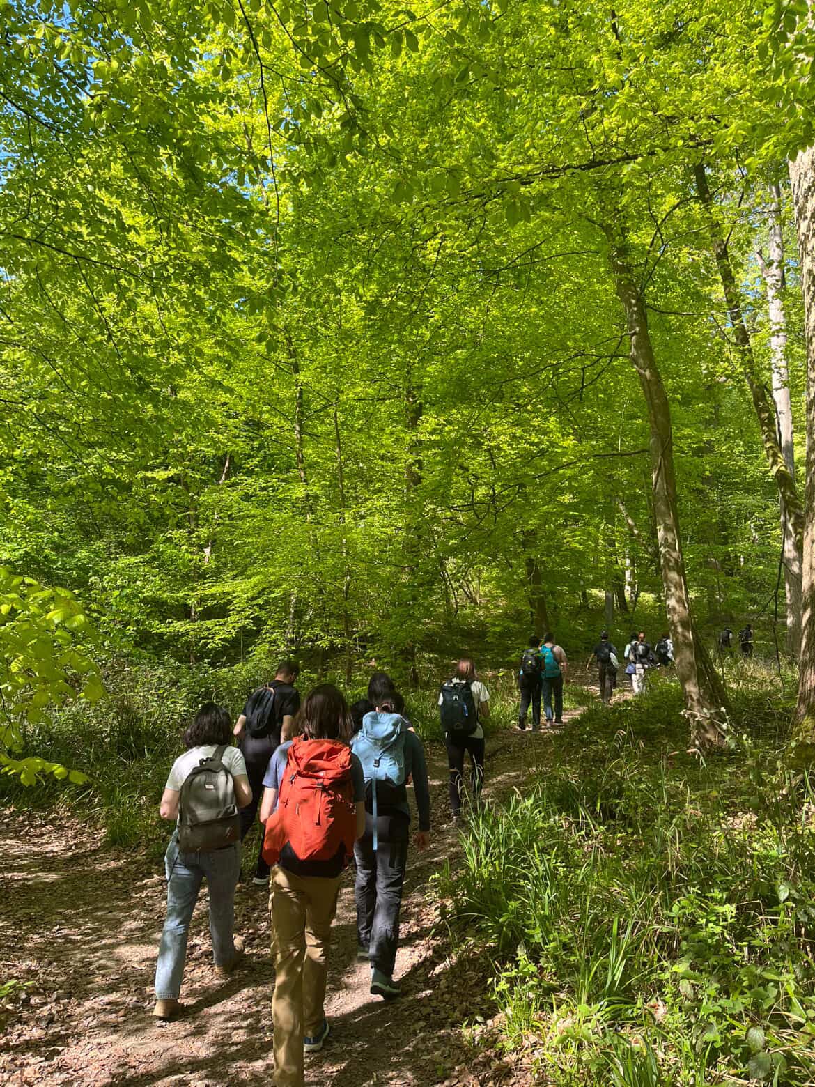 Forêt de Carnelle : randonnée vers le lac bleu