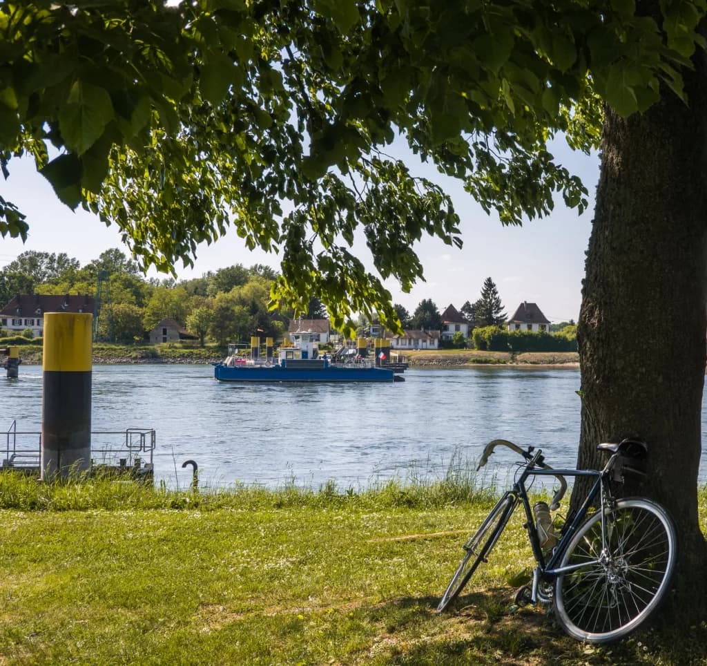 Piste cyclable le long du Rhin en Alsace sur l'EuroVélo 15, entre champs et forêts rhénanes
