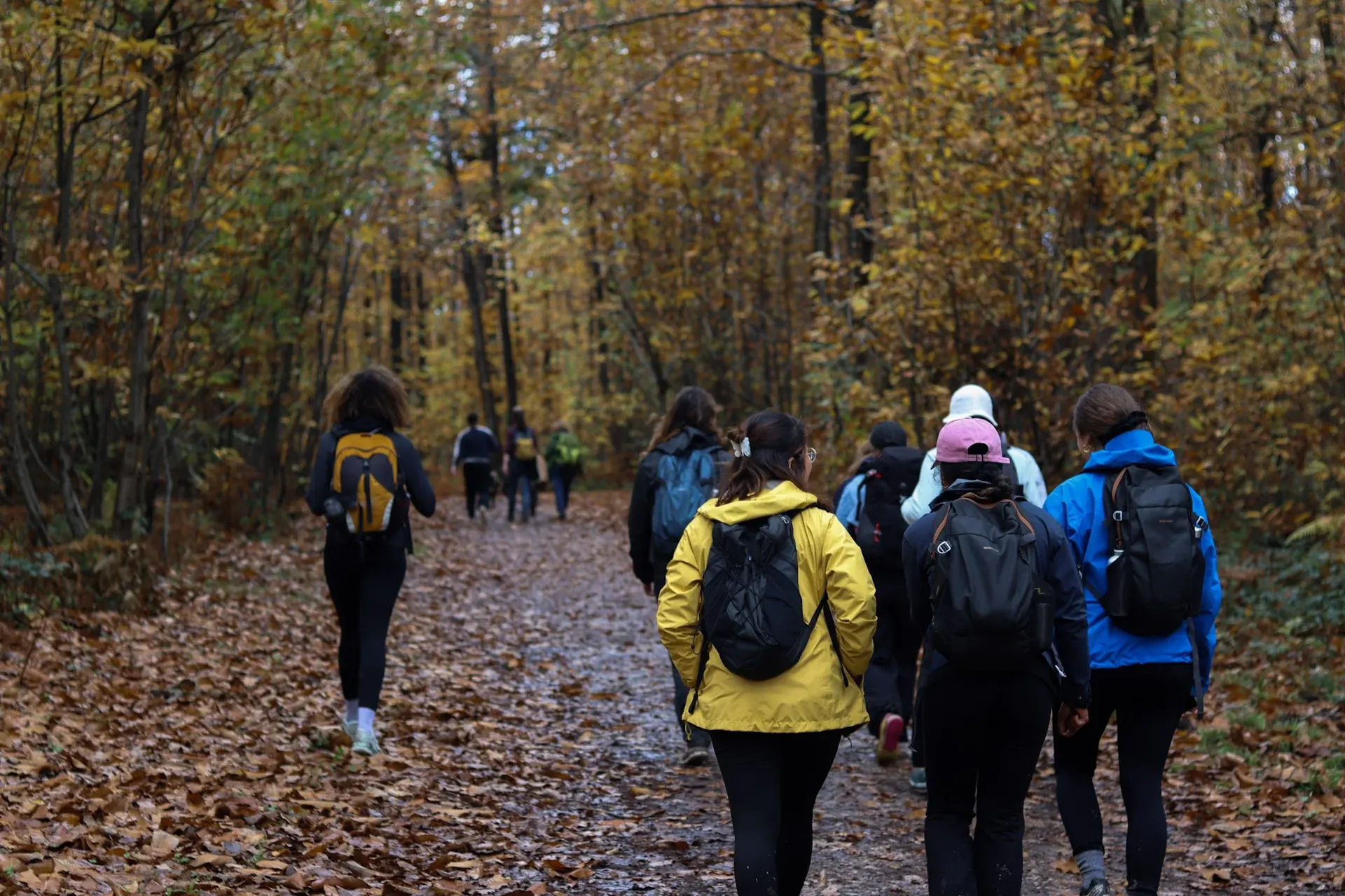 Randonnée à la journée – La forêt de Montmorency