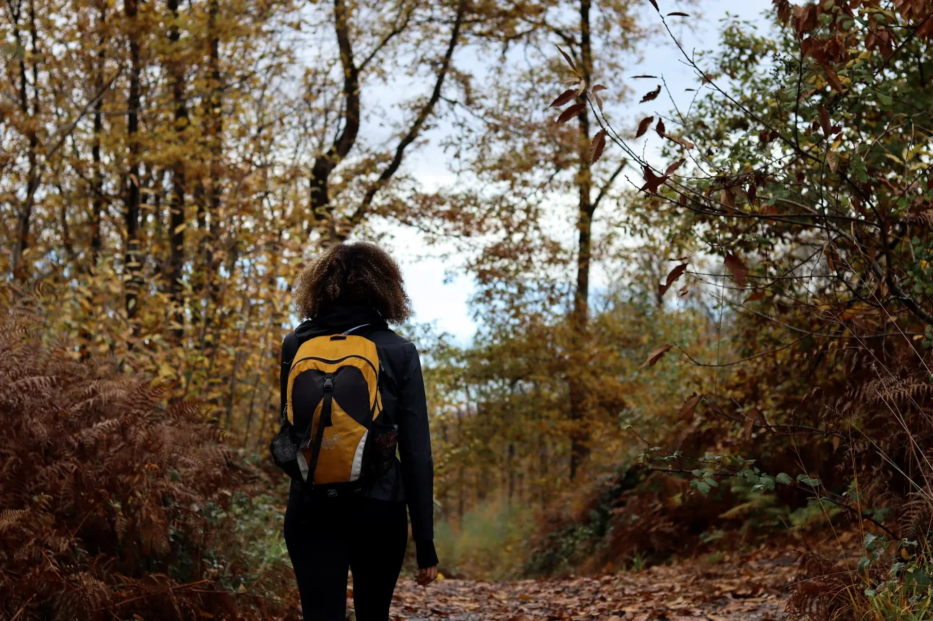 Randonneuse dans la forêt de Montmorency en automne