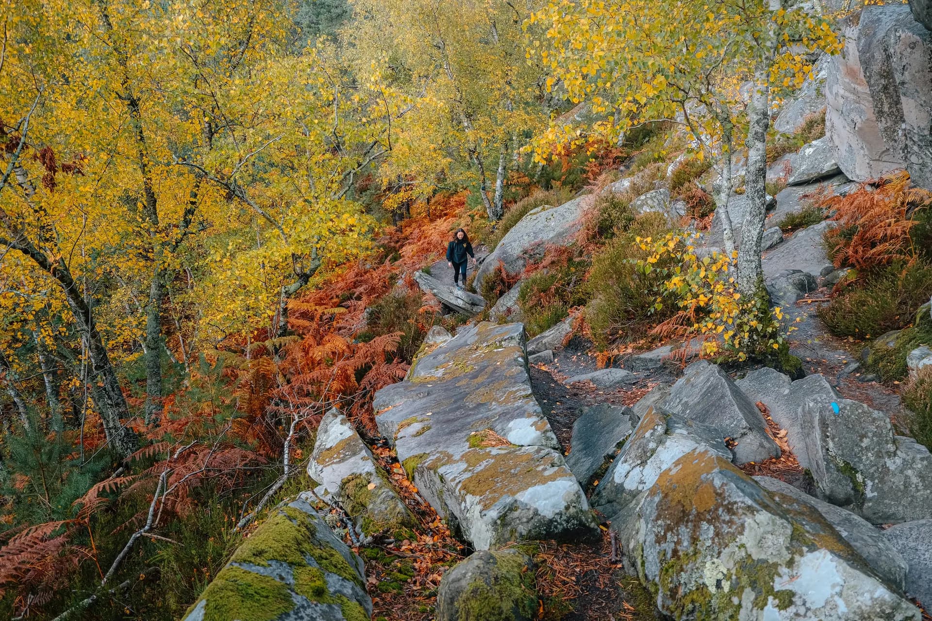 Randonnée à 1h de Paris à Fontainebleau