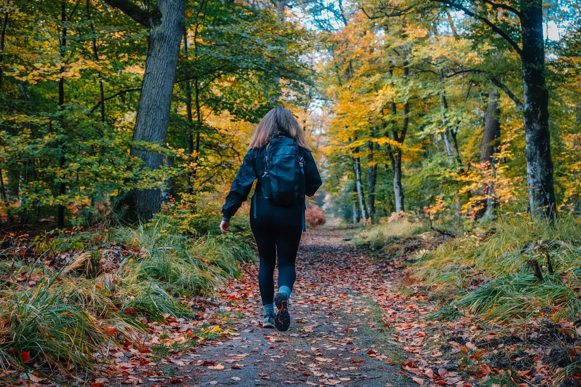 Randonneuse dans la forêt de Fontainebleau