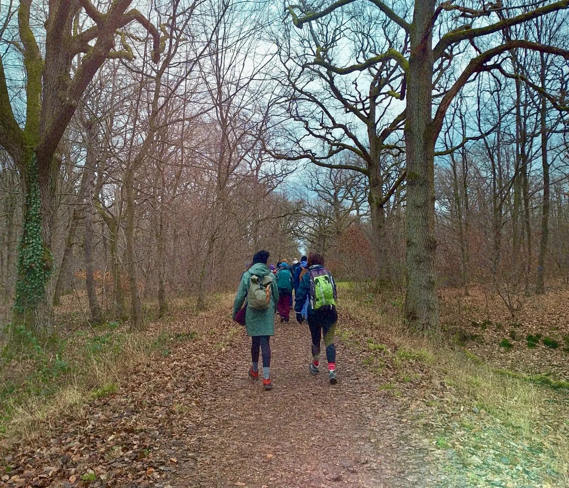 Marcheurs dans la forêt de Sénart