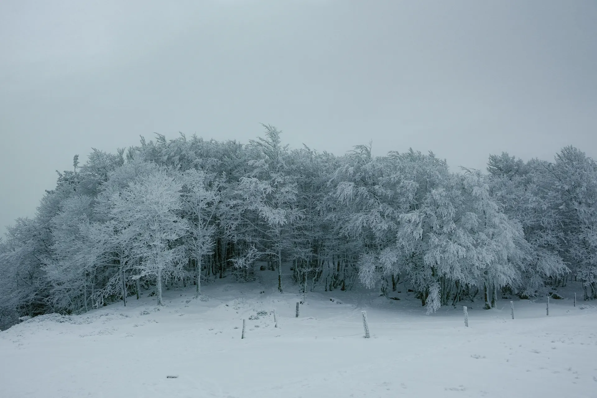 2 jours de randonnée en raquettes dans les Vosges