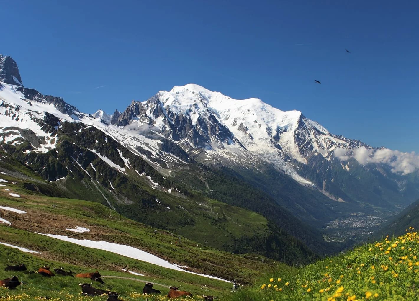 Le tour du Mont Blanc en 9 jours