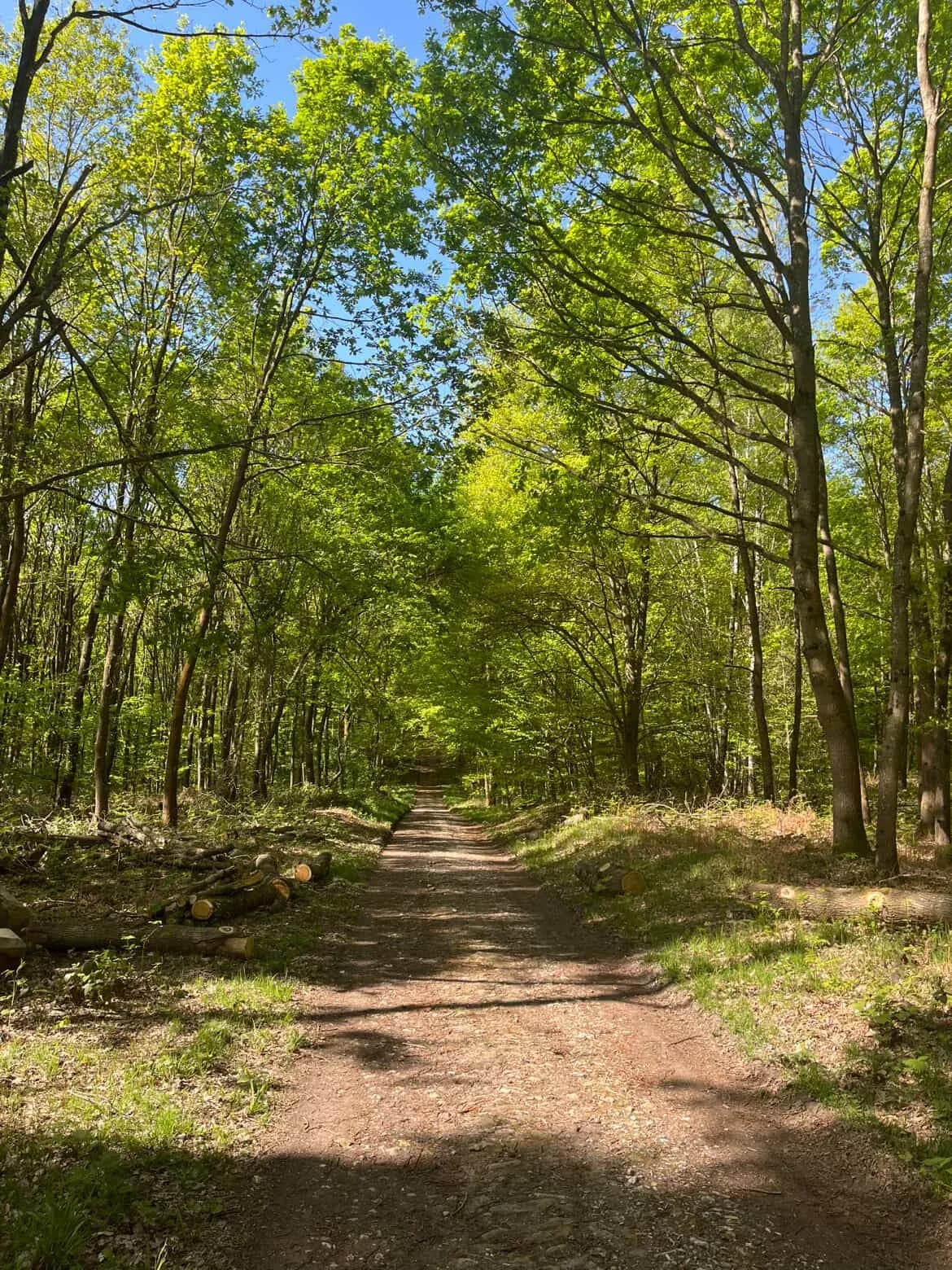 randonnée dans la Forêt de Carnelle