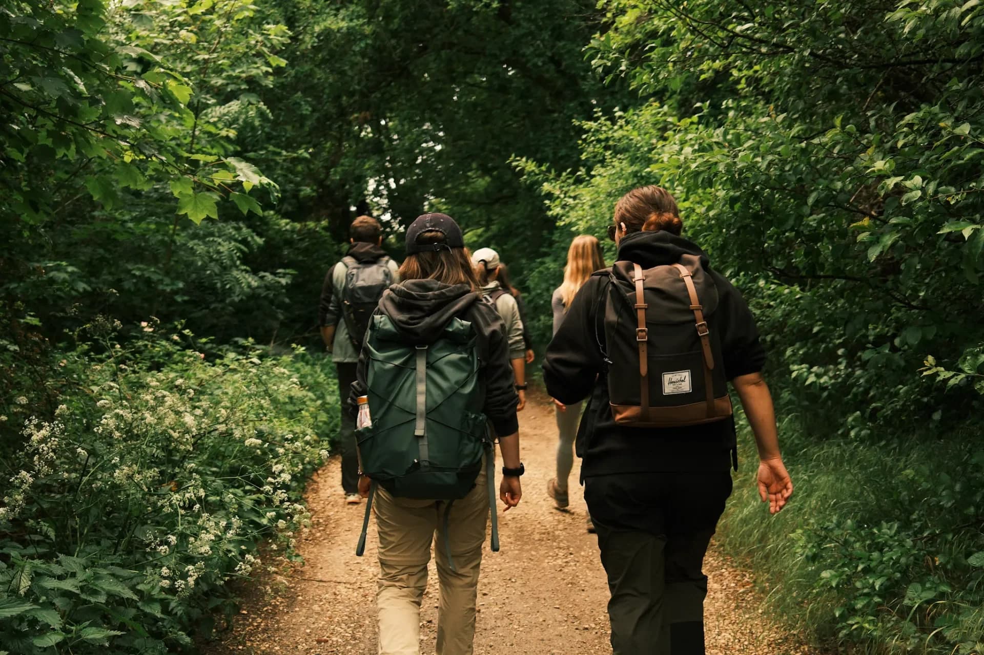Randonneurs dans la foret en Terres de Seine