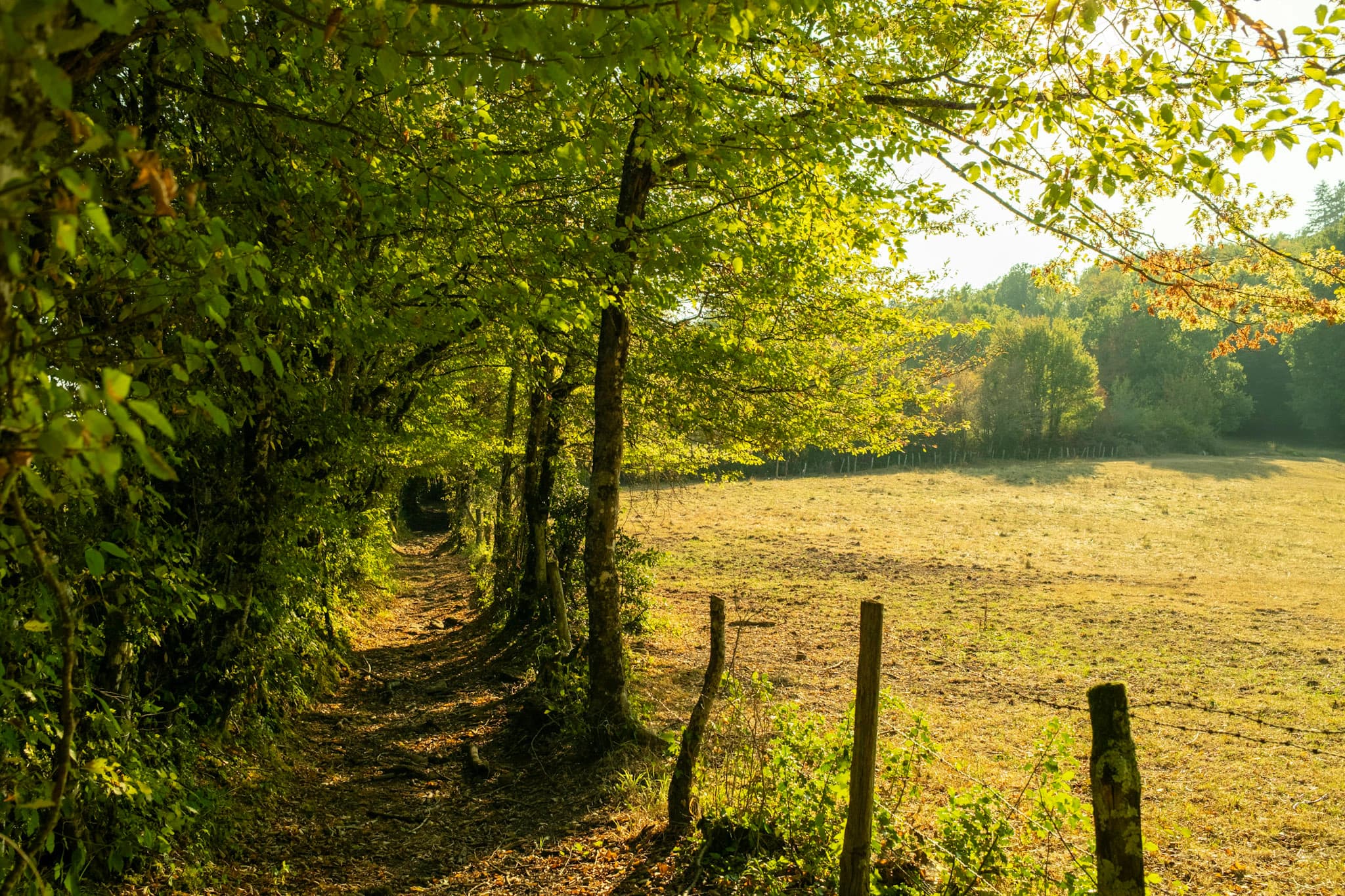Randonnée en Corrèze