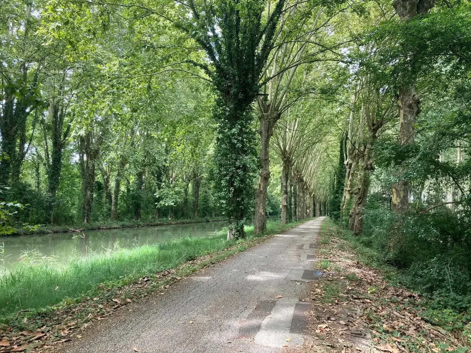 4 jours de vélo en bord de mer - Avignon à Narbonne