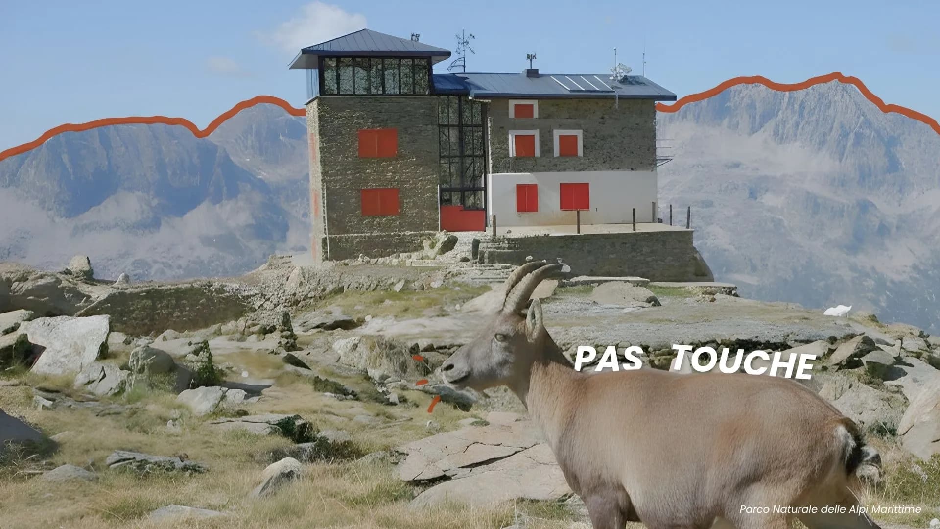 Faune et flore de montagne à préserver