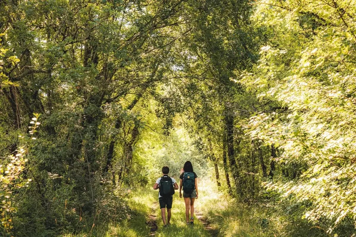 Randonneurs dans la foret à Penne d'Agenais