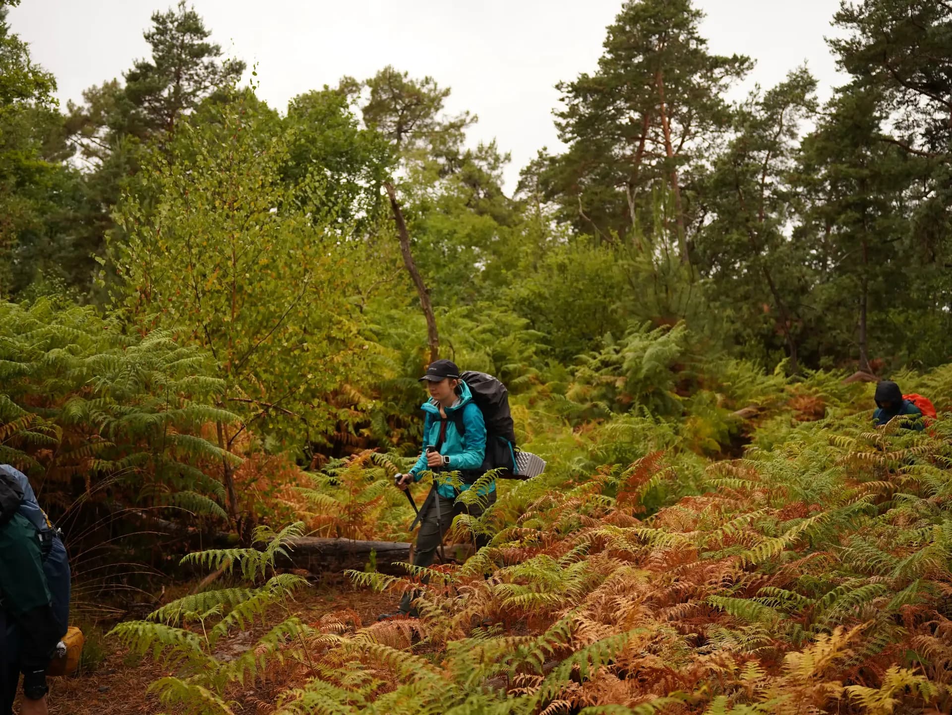 Randonneuse dans la forêt de Fontainebleau