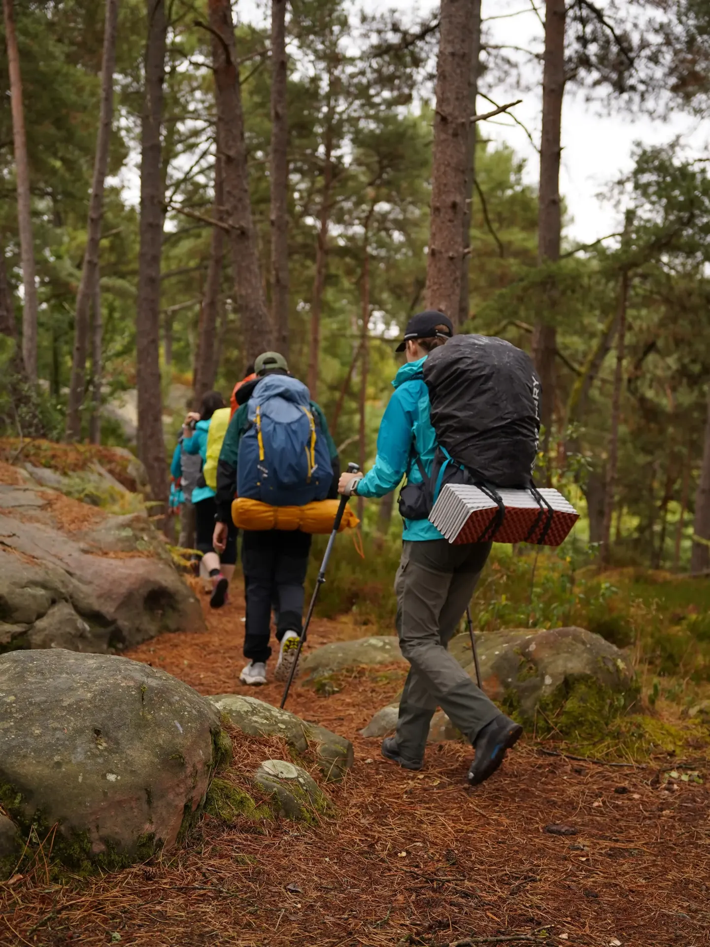 Tout savoir sur le bivouac en Forêt de Fontainebleau