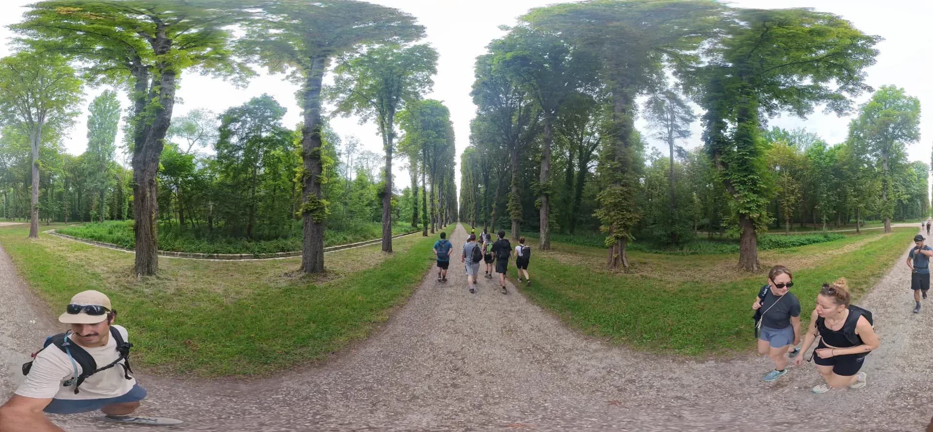 Randonneurs dans la forêt de Fontainebleau